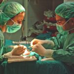 audienciastvestepona.pdf