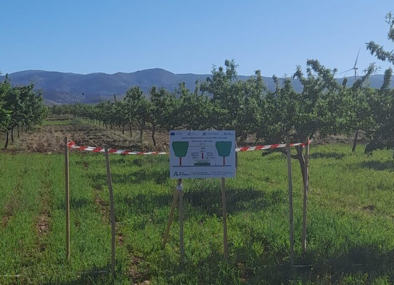 El Ifapa inicia un proyecto para evaluar la sostenibilidad del almendro ecológico de secano en Andalucía oriental