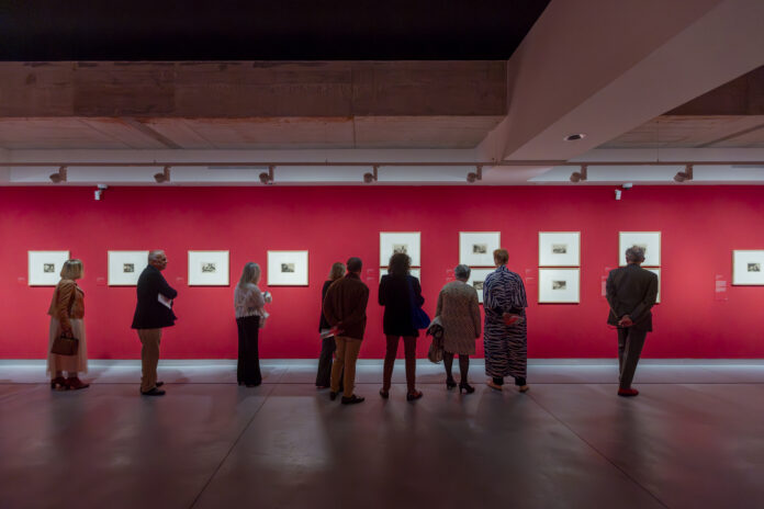 119_BK6A4948-Mejorado-NR