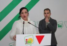 La coordinadora de IU Málaga pide la renuncia del delegado provincial de Salud por la crisis sanitaria