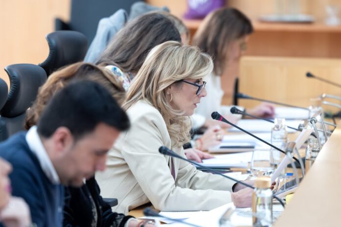 17122025-pleno-diputacion-2 (1)