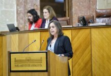 El Parlamento andaluz aprueba continuar la tramitación de la Ley para la Gestión Ambiental