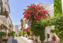 Estepona, reconocida por la excelencia de sus jardines en el certamen ‘Andalucía en Flor’