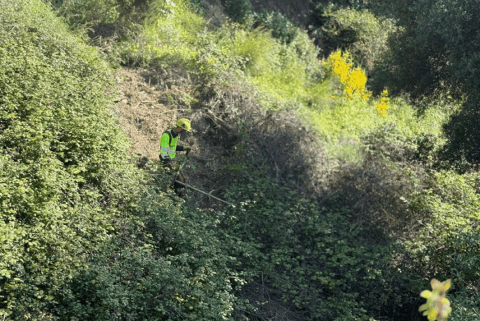 Benalmádena prohíbe las barbacoas en terrenos forestales y exige limpieza de parcelas hasta el 15 de octubre