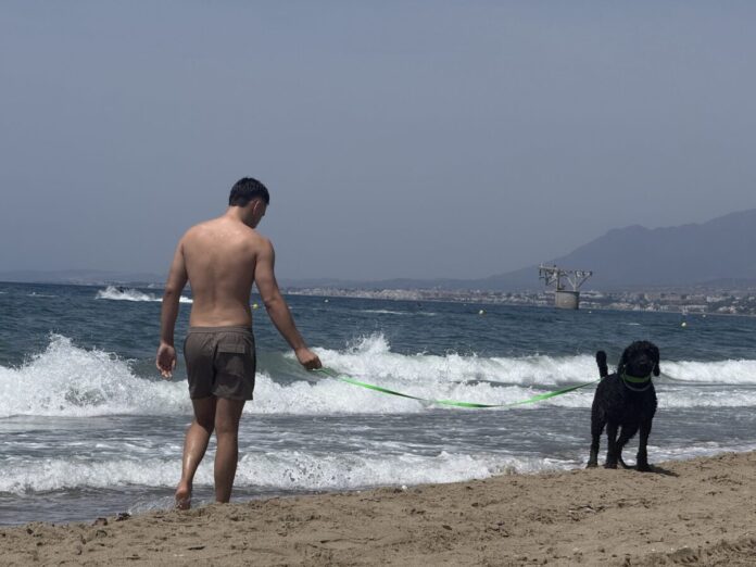 Las playas de El Pinillo y Ventura del Mar acogen el baño con perros en Marbella hasta el 15 de octubre