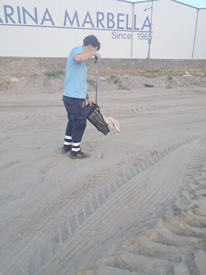 Limpieza playas