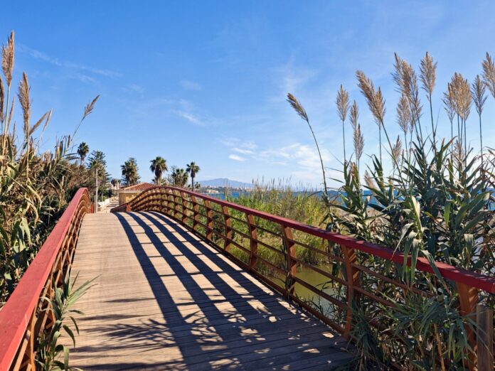 Estepona adjudica por 137.266,50 euros la instalación de 162 farolas solares
